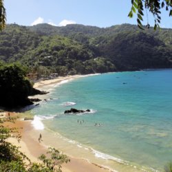 This photo shows turquoise sea lapping on to a white sand beach backed by lush green jungle