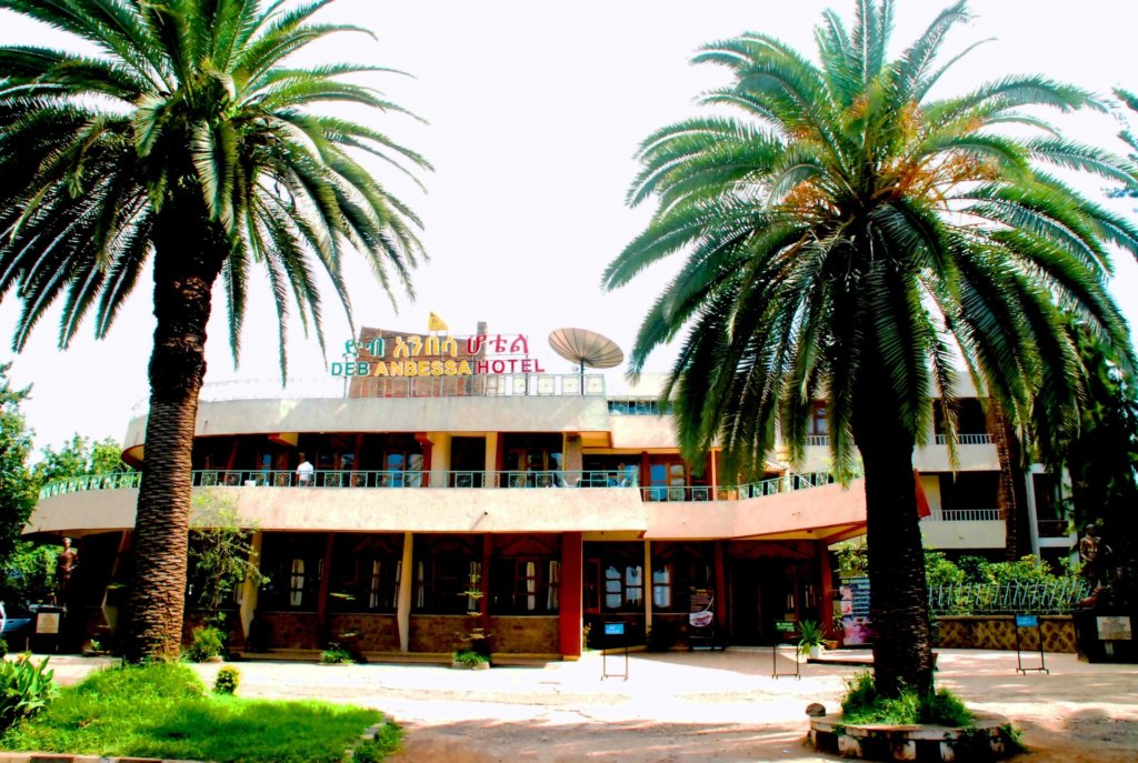 This photo shows the front of our hotel in Bahir Dar complete with two tall palm trees