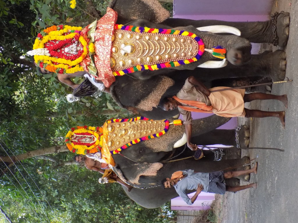 This photo shows elephants with highly decorative head covers