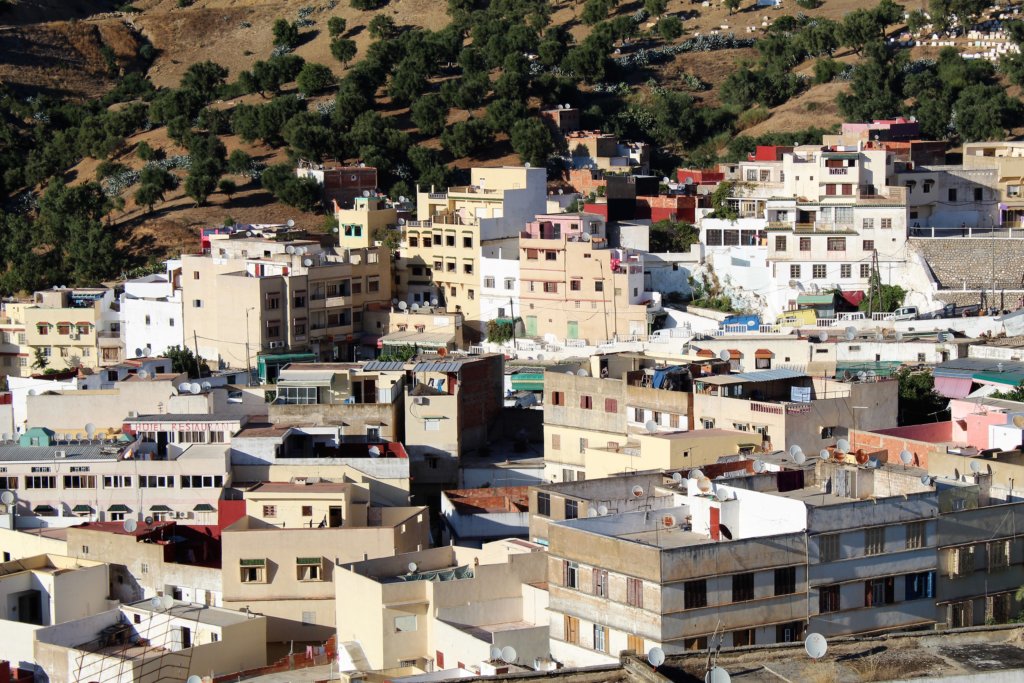 This photo shows the view from the roof of our hotel in Moulay Idriss. You can see lots of buildings in the town, most of them square in shape and painted white.